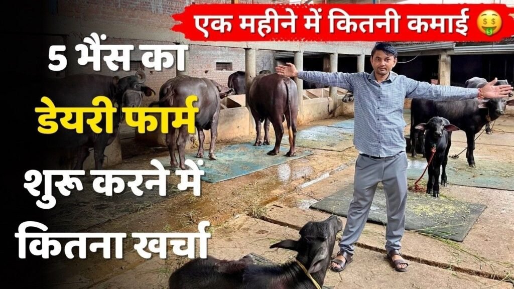 5 भैंस से शुरू किया नया फार्म - कितना खर्चा कितनी कमाई || New dairy farm experience