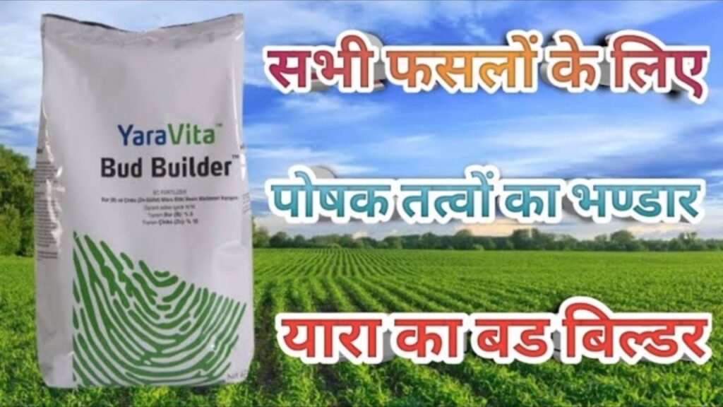 फूलों की संख्या बढ़ाएं, फसल की पैदावार डबल करें—यराविटा बड बिल्डर के साथ!