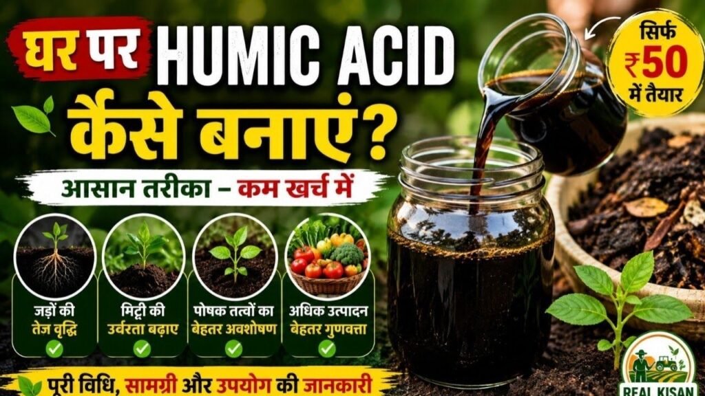 गोबर से Humic Acid बनाएं | 3 देसी Formula से Homemade Humic Acid | खेती में ऐसे करें इस्तेमाल
