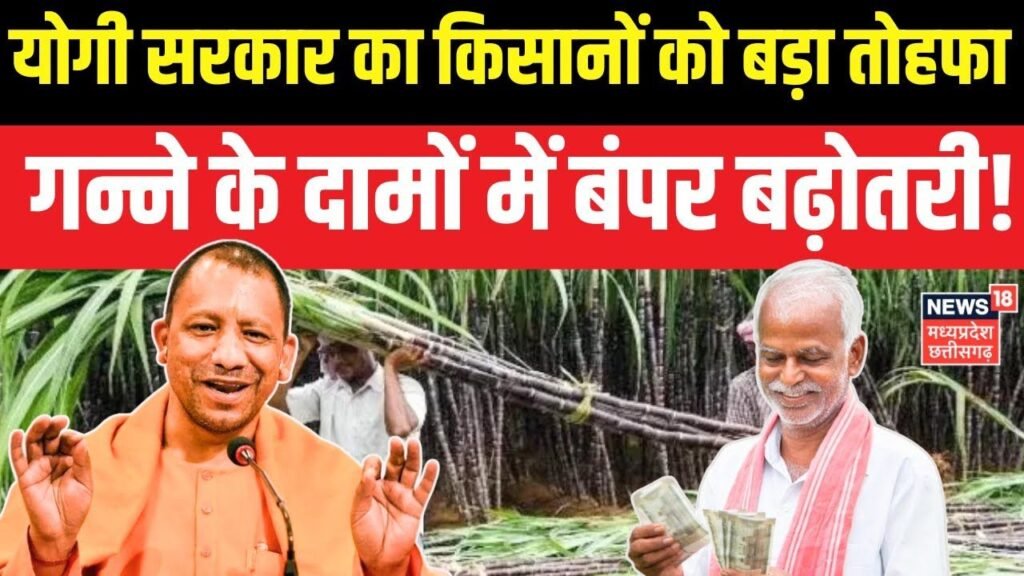 Yogi Government