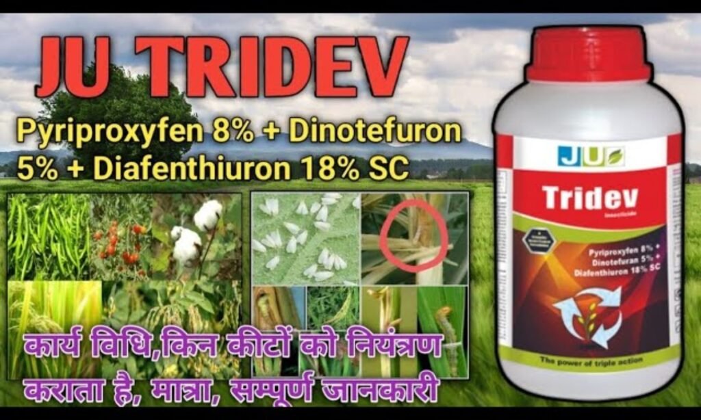 JU Tridev Insecticide - Pyriproxyfen 8% + Dinotefuran 5% + Diafenthiuron 18% SC | TRIDEV Insecticide