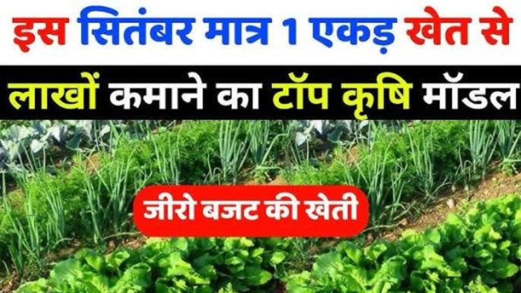 September me konsi sabji lagaye ||September october me sabji ki kheti | Vegetable grow September2026