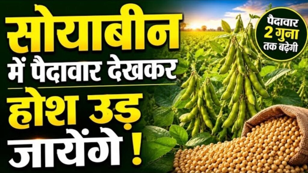 सोयाबीन पकने में 1 महीना बाकी! अभी खेत में ये 7 चीजें जरूर देखें | Soybean Crop Management