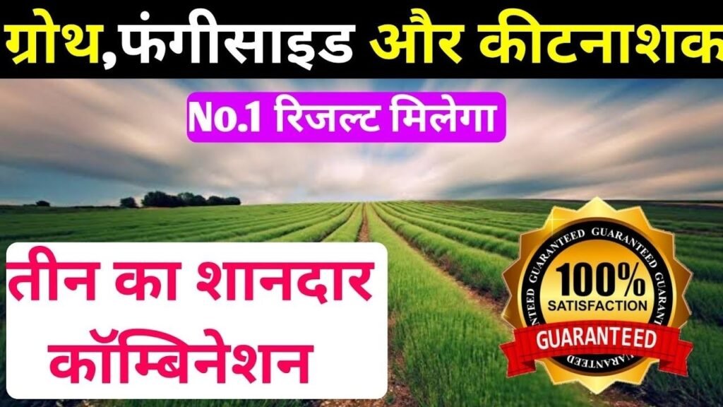 कीटनाशक और फंगीसाइड और ग्रोथ प्रमोटर का दमदार कॉम्बिनेशन।Best Fertilizer Dose For Crops