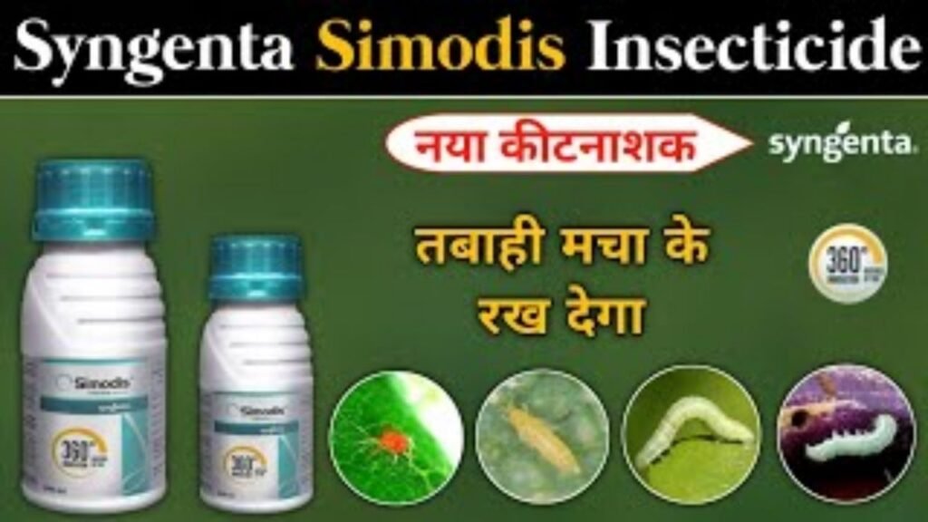Syngenta Simodis Insecticide की असली सच्चाई ⚠️ | Dose, Price & Live Results