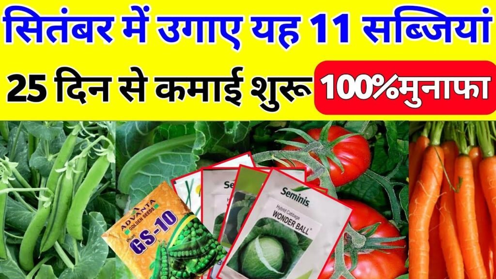 सितंबर महीने की सबसे फायदे वाली सब्जियां | September mahine mein ugai jaane wali sabjiyan, matar